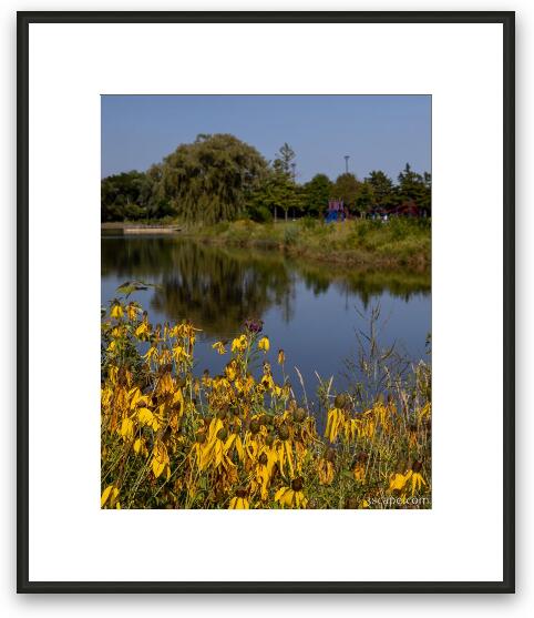 Fabbrini Park Pond Framed Fine Art Print