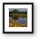 Fabbrini Park Pond Framed Print