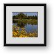 Buy Framed Print