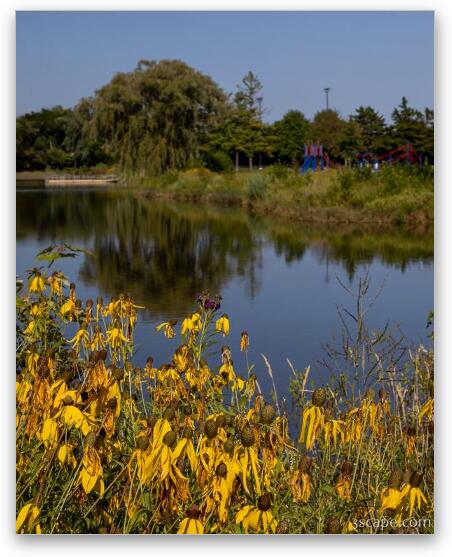 Fabbrini Park Pond Fine Art Metal Print