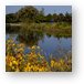 Fabbrini Park Pond Metal Print