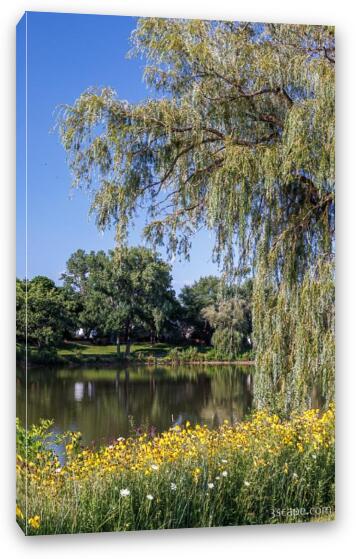 Fabbrini Park Pond 2 Fine Art Canvas Print