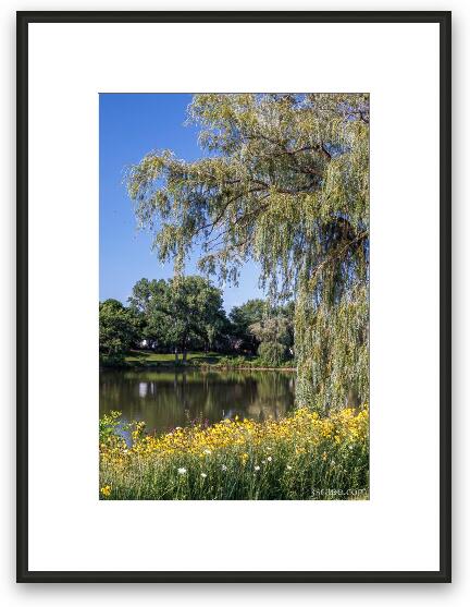 Fabbrini Park Pond 2 Framed Fine Art Print