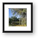 Fabbrini Park Pond 2 Framed Print