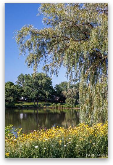 Fabbrini Park Pond 2 Fine Art Metal Print