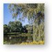 Fabbrini Park Pond 2 Metal Print