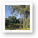 Fabbrini Park Pond 2 Art Print