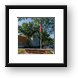 Hoffman Estates Branch Library 1 Framed Print