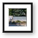 Buy Framed Print