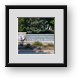 Buy Framed Print