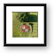 Hoffman Estates Aerial Design Framed Print