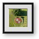Buy Framed Print