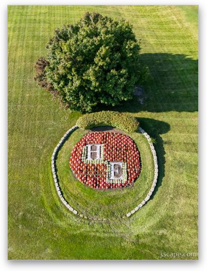 Hoffman Estates Aerial Design Fine Art Metal Print