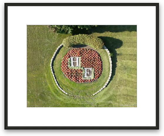 Hoffman Estates Aerial Design Framed Fine Art Print