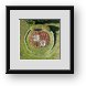 Buy Framed Print