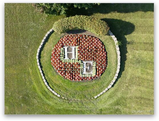 Hoffman Estates Aerial Design Fine Art Print