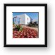 Hoffman Estates Village Hall Flowers Framed Print