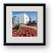 Buy Framed Print