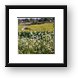 Paul Douglas Preserve 1 Framed Print