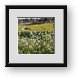 Buy Framed Print