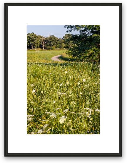 Paul Douglas Preserve 2 Framed Fine Art Print