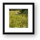 Paul Douglas Preserve 2 Framed Print