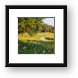 Paul Douglas Preserve 3 Framed Print