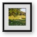 Buy Framed Print