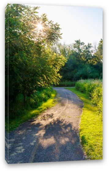 Poplar Creek Bike Trail Fine Art Canvas Print