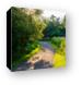 Poplar Creek Bike Trail Canvas Print