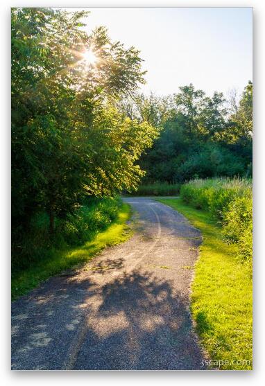 Poplar Creek Bike Trail Fine Art Metal Print