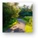 Poplar Creek Bike Trail Metal Print