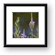 Buy Framed Print