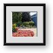Buy Framed Print