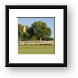 Bridges of Poplar Creek Country Club Framed Print