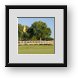 Buy Framed Print