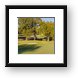 Bridges of Poplar Creek Country Club Panoramic Framed Print