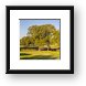 Bridges of Poplar Creek Country Club Panoramic Framed Print