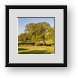 Buy Framed Print