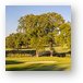 Bridges of Poplar Creek Country Club Panoramic Metal Print