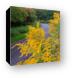 Goldenrod on Poplar Creek Bike Trail Canvas Print