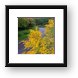 Goldenrod on Poplar Creek Bike Trail Framed Print