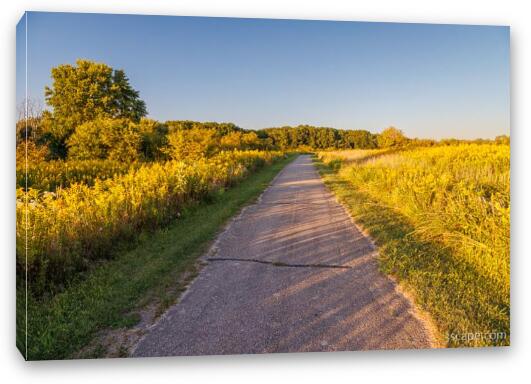 Poplar Creek Bike Trail Fine Art Canvas Print