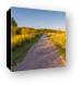 Poplar Creek Bike Trail Canvas Print