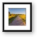 Poplar Creek Bike Trail Framed Print