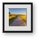 Buy Framed Print