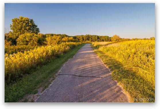 Poplar Creek Bike Trail Fine Art Metal Print