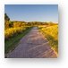 Poplar Creek Bike Trail Metal Print