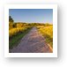 Poplar Creek Bike Trail Art Print