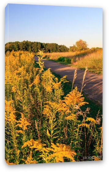 Goldenrod at Shoe Factory Prairie Fine Art Canvas Print